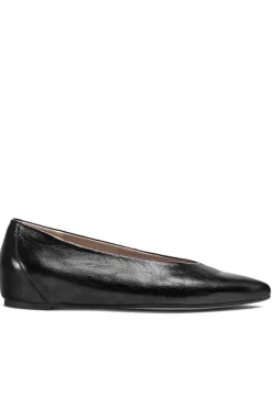 Bailarina Mujer Wonders Triana A3802 Negro