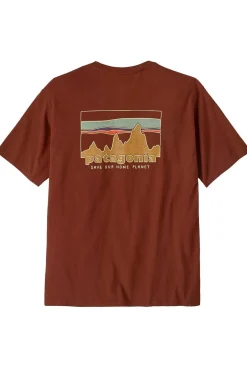 Camiseta Hombre Patagonia '73 Skyline Organic 37534 DVL Dried Vanilla