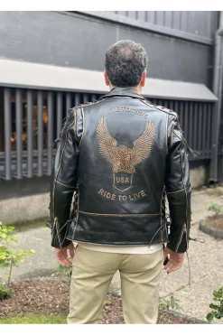 cazadora motera mdp 1259 brown