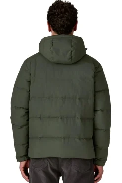 Chaqueta Hombre Patagonia Downdrift 20600 OLGG Old Growth Green