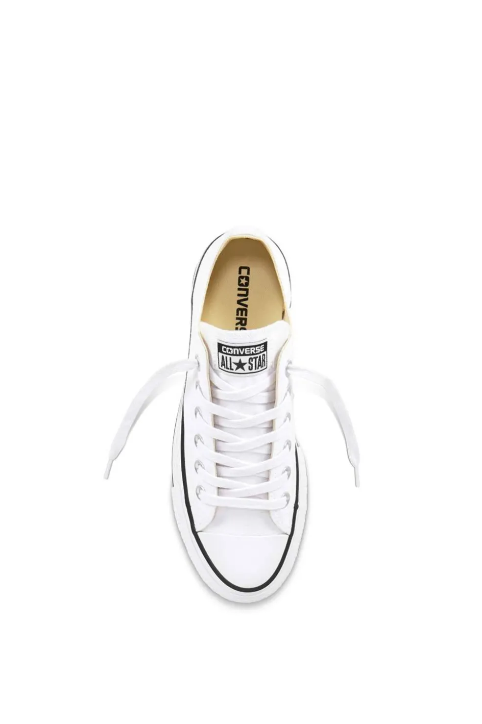 Converse All Star 560251C Mujer