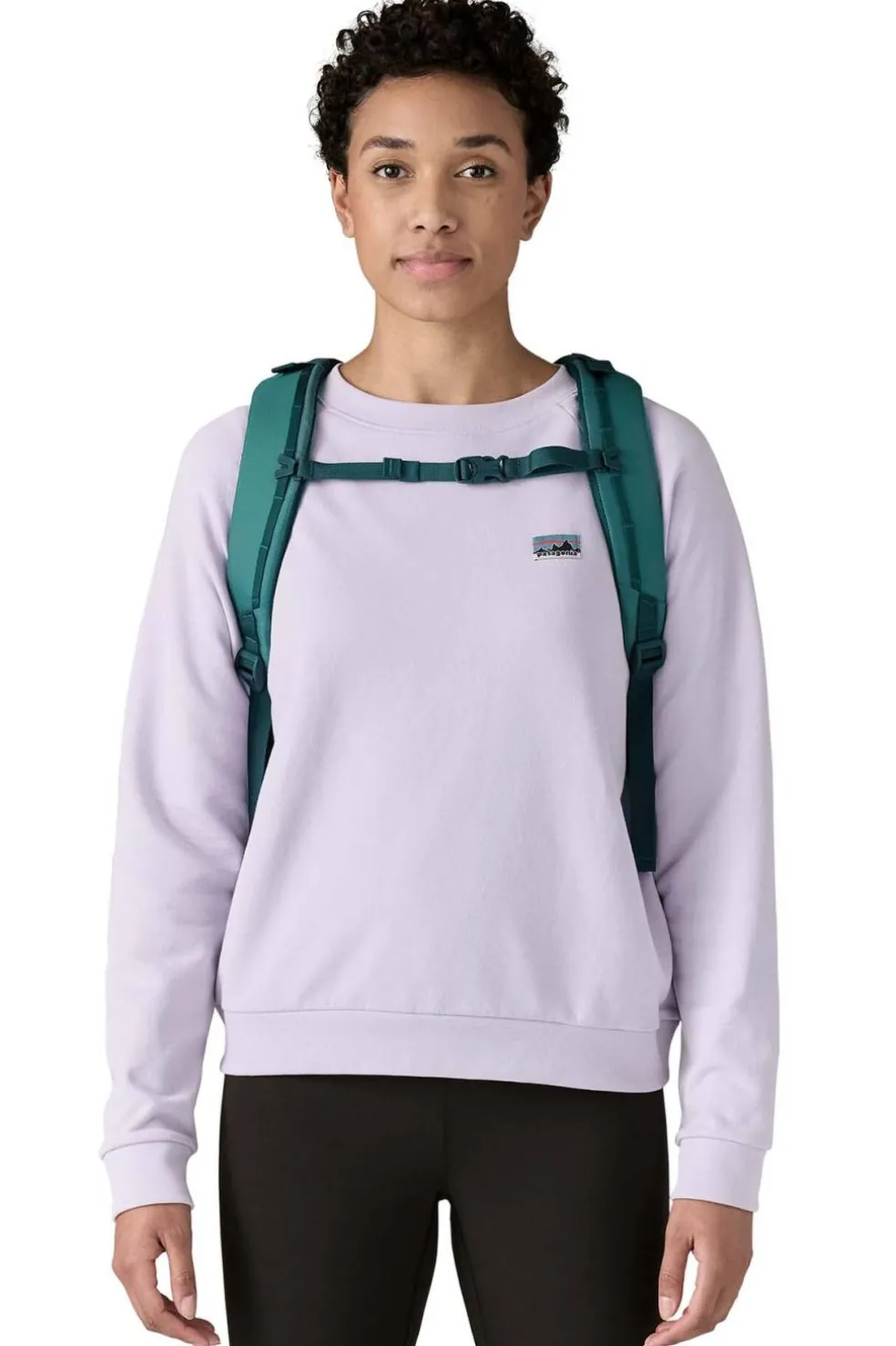 Mochila Patagonia Refugio Day Pack 30L 47928 WLDB Wetland Blue