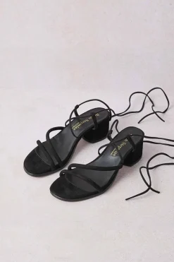 Sandalia Bryan Grecia 2605 Ante Negro