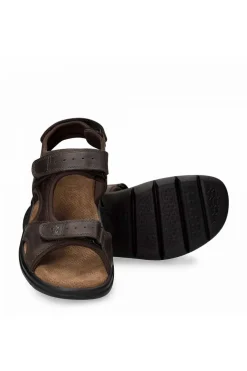 Sandalia Panama Jack salton basics c1 marron