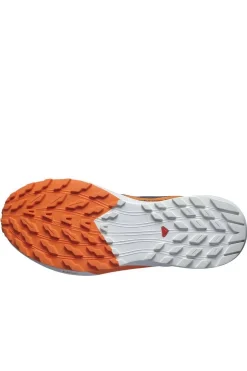 Zapatilla Hombre Salomon Sense Ride 5 GTX 474594 India Ink Carbon