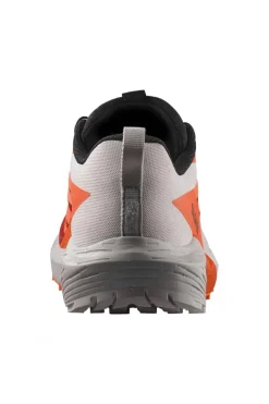 Zapatilla Salomon Sense Ride 5 470462