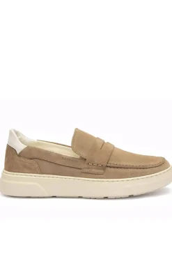 Zapato Hombre Baerchi Chivita 3682 Afelpado Piedra