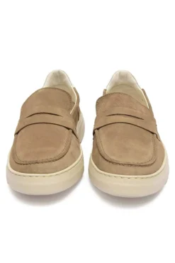 Zapato Hombre Baerchi Chivita 3682 Afelpado Piedra