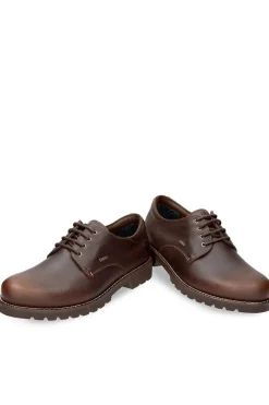 Zapato Hombre Panama Jack Jackson C1 Castaño Goretex