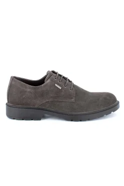 Zapato Igi & Co. 2604111 Caffe GTX