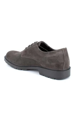 Zapato Igi & Co. 2604111 Caffe GTX